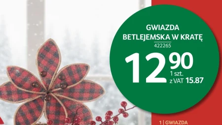 Gwiazda betlejemska