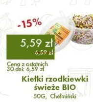 Паростки редиски Chełmiński