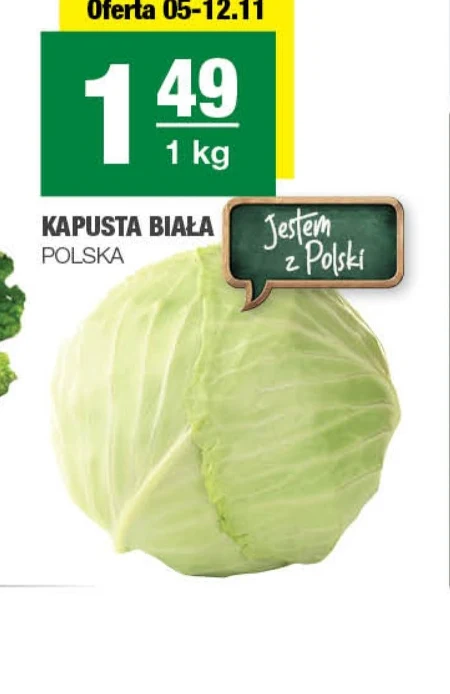 Kapusta biała Polski