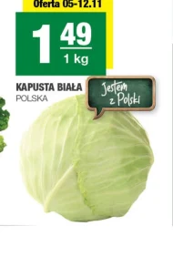 Kapusta biała Polski