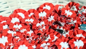 Jak uczcić Narodowe Święto Niepodległości? Do stroju przypnij kotylion