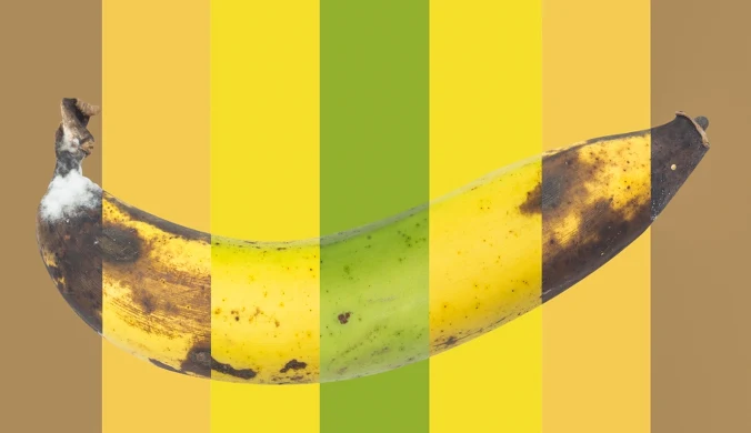 Który stopień dojrzałości banana jest dla ciebie najlepszy?