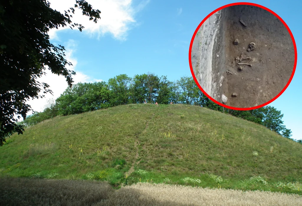 Góra św. Wawrzyńca skrywała niezwykłą historię. Archeolodzy odkryli właśnie pochówki dzieci sprzed ponad 2500 lat Góra św. Wawrzyńca skrywała niezwykłą historię. Archeolodzy odkryli właśnie pochówki dzieci sprzed ponad 2500 lat