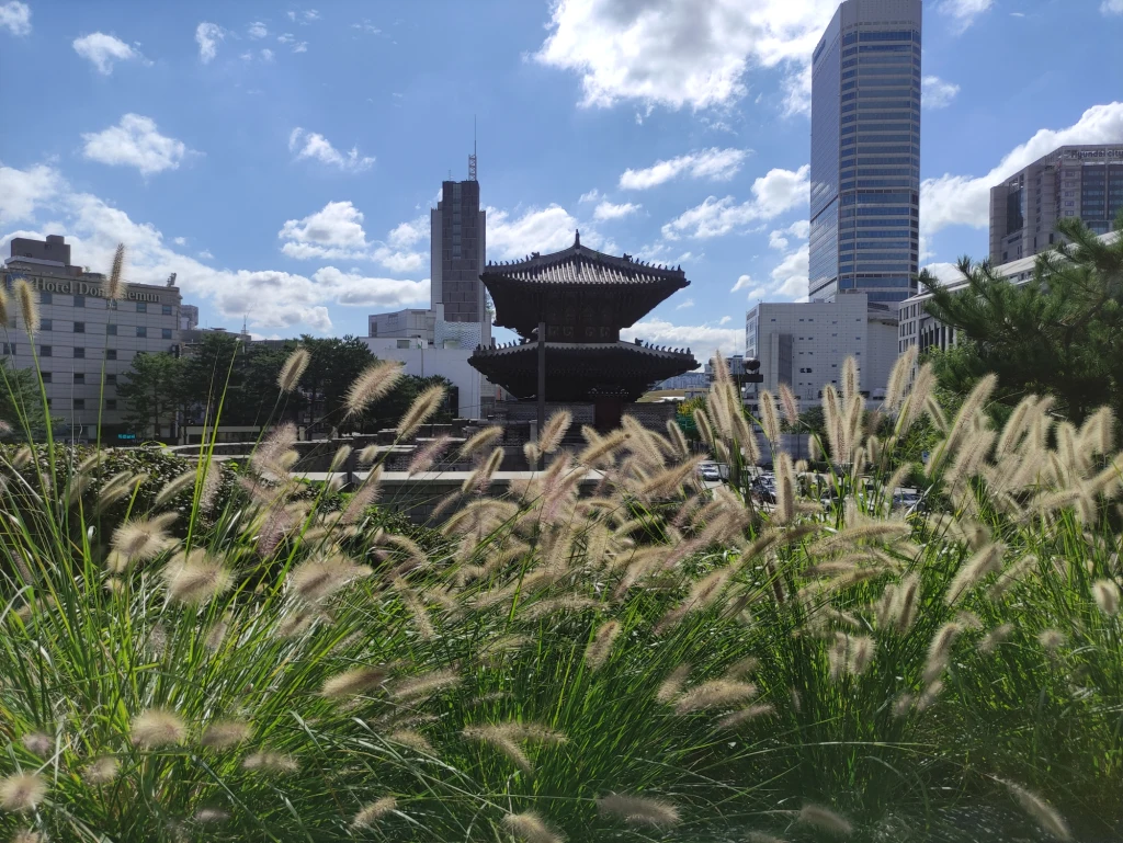 Codzienne rozwiązania z Korei i Japonii, które ułatwiają życie Codzienne rozwiązania z Korei i Japonii, które ułatwiają życie