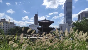 10 rozwiązań, których Polacy mogliby się nauczyć od Japończyków i Koreańczyków