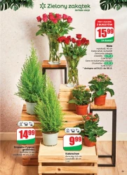 Smaczne okazje na listopad – Dino