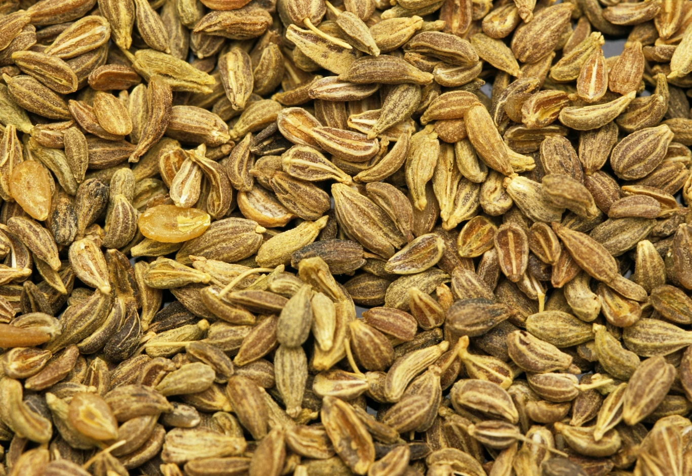 Aromatyczna przyprawa dobra podczas przeziębienia i nie tylko. Niegdyś babcie chętnie po nią sięgały