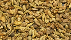 Babcie dodawały go do herbaty. Pomaga, gdy dopada nas przeziębienie 