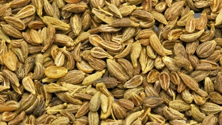 Aromatyczna przyprawa dobra podczas przeziębienia i nie tylko. Niegdyś babcie chętnie po nią sięgały