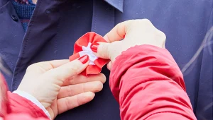 Kotylion na 11 listopada pomyłką? Polski symbol to coś zupełnie innego