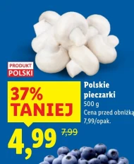 Pieczarki Polski