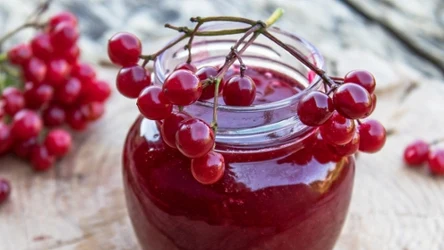 Nie każdy wie, jakie właściwości mają owoce tego krzewu