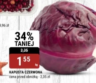 Червонокачанна капуста