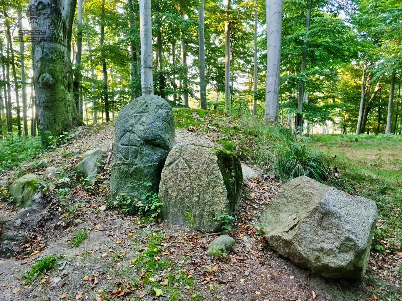 Kamienie runiczne znajdują się w lasach pomiędzy dwoma rejonami Kędzierzyna-Koźla: Sławęcicami i Azotami. Grupa dużych głazów ustawionych na skraju niewielkiego wzniesienia w lesie, z których jeden nosi wyryty symbol przypominający swastykę, otoczone drzewami i liśćmi opadłymi na ziemię.