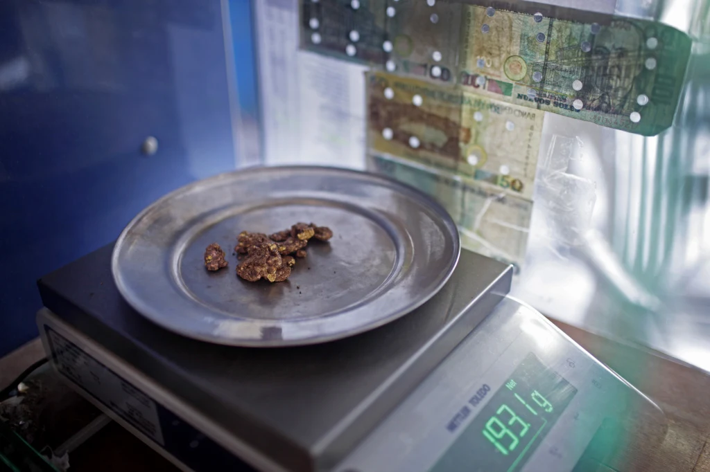 Brazylijska policja wspierana przez Interpol zniszczyła setki urządzeń używanych do nielegalnego wydobycia złota w dorzeczu Amazonki Brazylijska policja wspierana przez Interpol zniszczyła setki urządzeń używanych do nielegalnego wydobycia złota w dorzeczu Amazonki