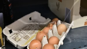 Niepokój o ceny jaj przed świętami. "Bardzo trudna sytuacja"