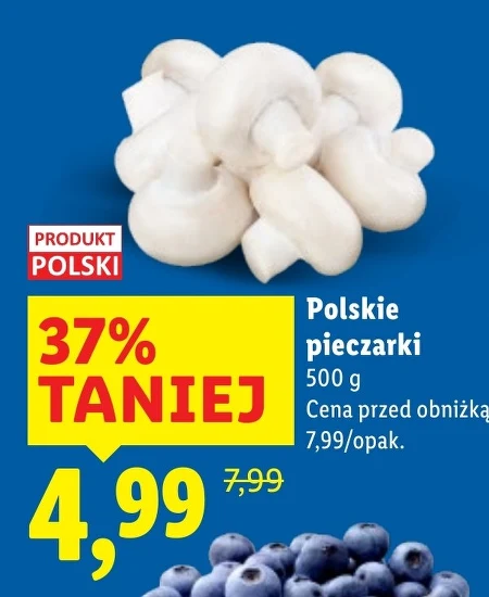 Pieczarki Polski