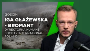 Zakaz ferm lisów i norek w Polsce. Chodziło wyłącznie o zysk