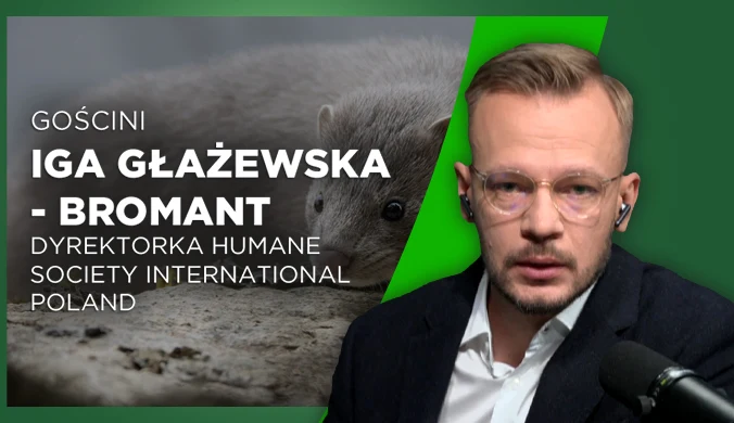 Mężczyzna w okularach prowadzi rozmowę w studiu z mikrofonem. Po lewej stronie widoczny napis z imieniem i nazwiskiem gościni oraz stanowiskiem dyrektorki organizacji prozwierzęcej, w tle zdjęcie zwierzęcia futerkowego.