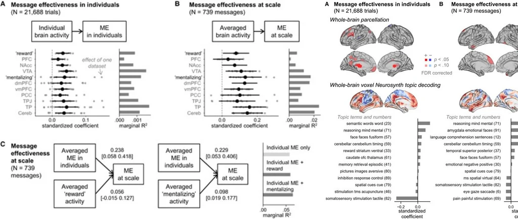 Wykresy i diagramy ukazujące zależności pomiędzy skutecznością przekazu a aktywnością mózgu mierzoną u pojedynczych osób i w analizie zbiorczej, uzupełnione ilustracjami mózgu z zaznaczonymi obszarami aktywacji oraz wypunktowanymi tematami analizowanyc...