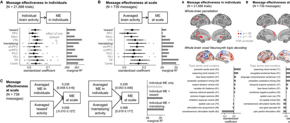 Wykresy i diagramy ukazujące zależności pomiędzy skutecznością przekazu a aktywnością mózgu mierzoną u pojedynczych osób i w analizie zbiorczej, uzupełnione ilustracjami mózgu z zaznaczonymi obszarami aktywacji oraz wypunktowanymi tematami analizowanyc...