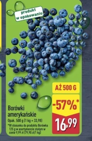 Borówki amerykańskie