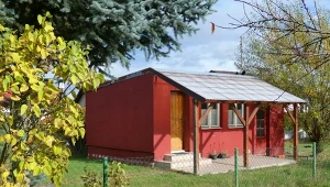 Nie rób tego na działce ROD. Mandat jest ogromny