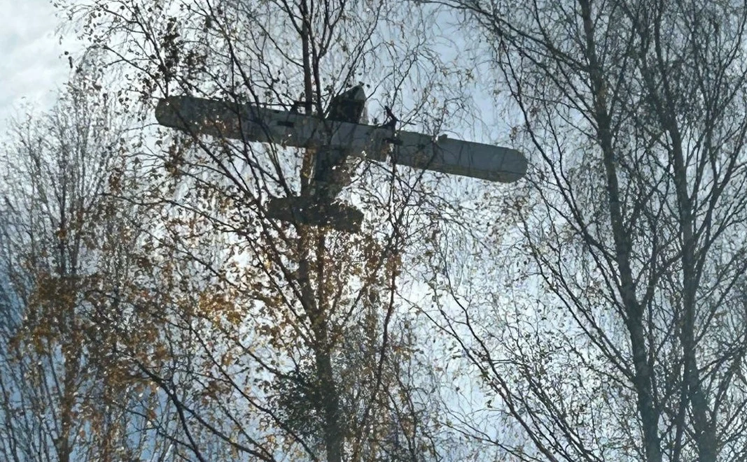 Podlaska Straż Graniczna odnalazła drona Stary dwupłatowiec utknął w koronach wysokich drzew, gałęzie zasłaniają część kadłuba i skrzydeł samolotu. Słońce przebija się przez gałęzie, tworząc kontrast między ciemną sylwetką samolotu a jasnym niebem.