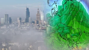 Noc i poranek we mgle. IMGW ostrzega przed utrudnieniami