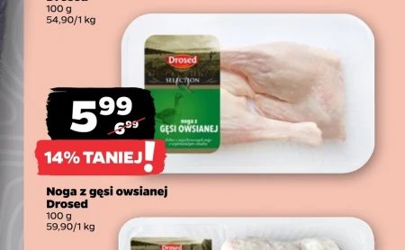 Noga z gęsi Drosed
