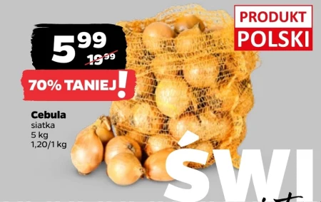 Cebula Polski