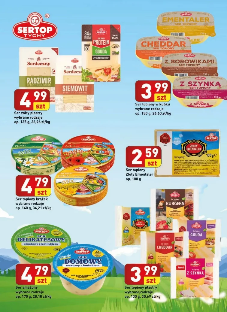 leaflet page preview image