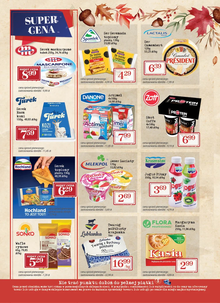 leaflet page preview image