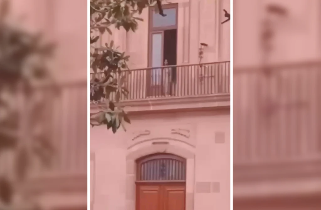 Balkon budynku z otwartym oknem na pierwszym piętrze, otoczony metalową balustradą, częściowo zasłonięty przez gałęzie drzewa.