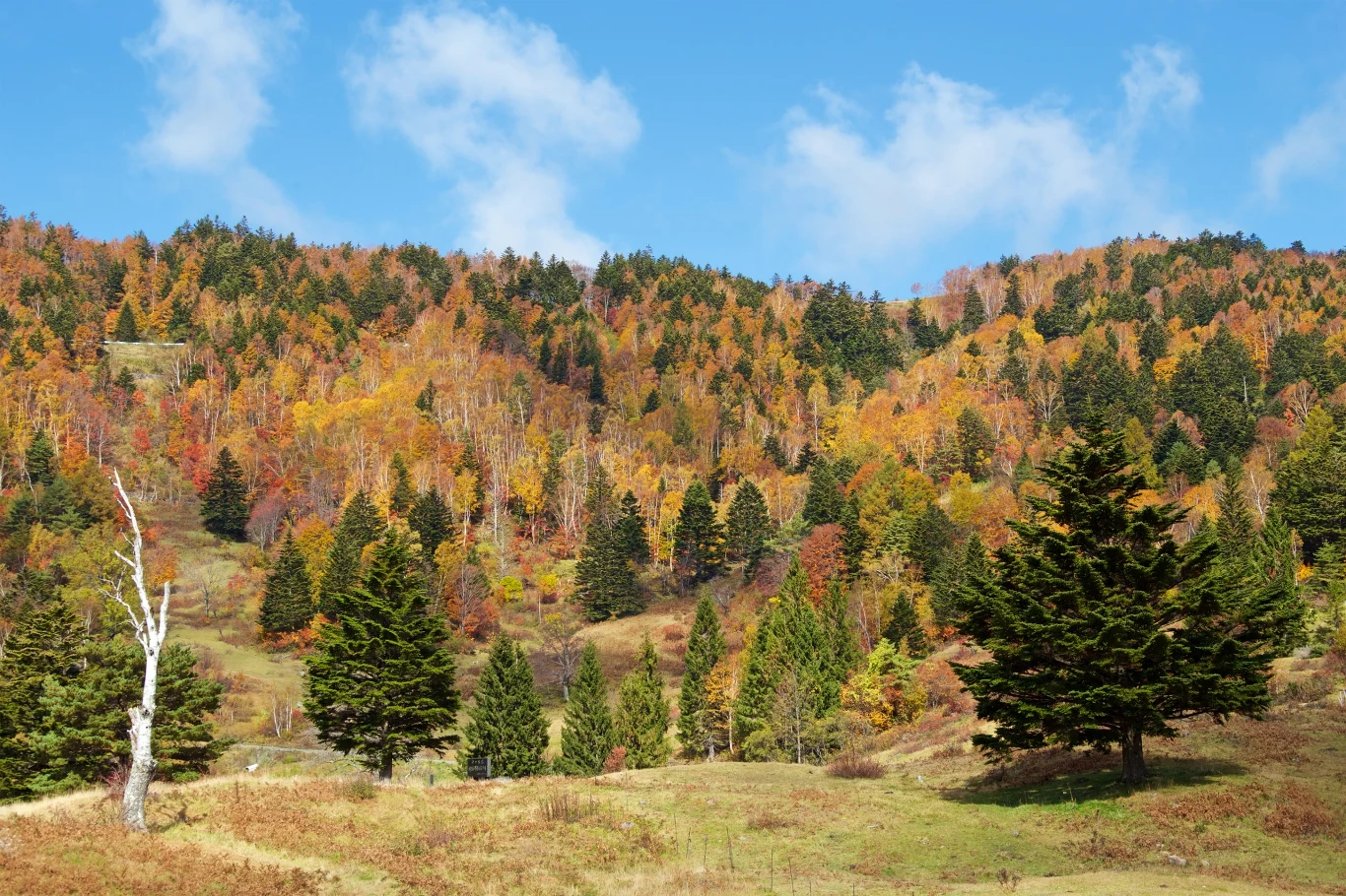 Gdzie warto wybrać się jesienią, aby podziwiać piękne krajobrazy? 