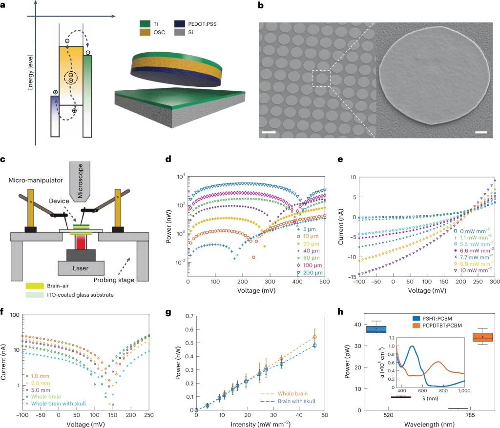 Schemat i charakterystyka działania mikroimplantów cyrkulatronicznych Schemat budowy urządzenia optoelektronicznego, zdjęcia mikroskopowe elementów, wykresy przedstawiające zależność mocy i prądu od napięcia oraz intensywności światła. Kolorowa analiza widmowa oraz przekroje warstw materiałowych.