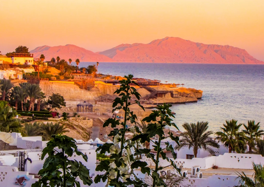 Egipt o zachodzie słońca – idealny kierunek na zimowe wakacje 2025/26 z Coral Travel