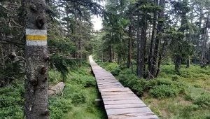 Wybierasz się w góry na długi weekend? Licz się z dużymi utrudnieniami