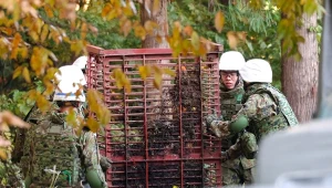 Panika w kraju. Zarządzono odstrzał drapieżników z użyciem karabinów
