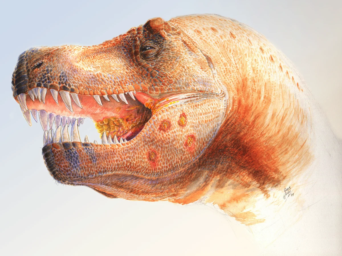 Rekonstrukcja potężnych szczęk tyranozaura Głowa dużego dinozaura z otwartą paszczą ukazującą ostre zęby, z detalami skóry i intensywnymi kolorami podkreślającymi strukturę mięśniową.