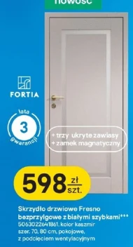 Дверне полотно Fortia