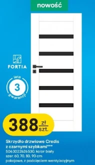 Дверне полотно Fortia