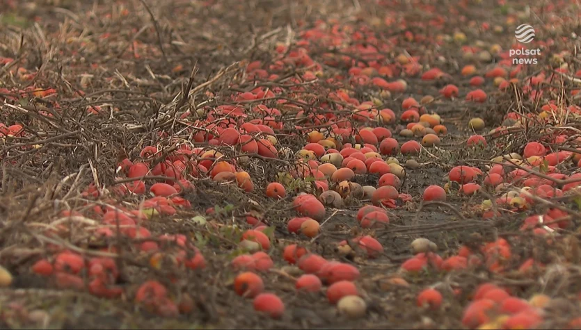 "Wydarzenia": Podatek od zbiorów. Rolnicy mogą mieć problem