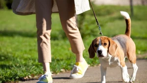 Od stycznia podatek w górę. Najwyższa maksymalna stawka w historii