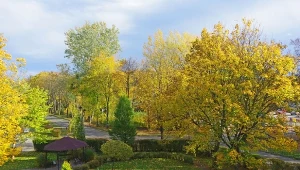 Jesienny quiz dla każdego. 10/10 może zgarnąć każdy. Sprawdź się!