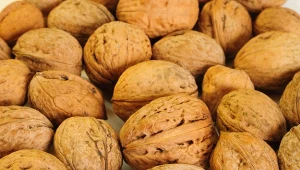 Zmniejszają ryzyko zawału serca, genialnie wzmacniają mózg. Zdrowsze od ryb