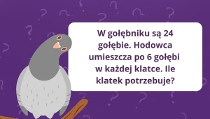 Zestaw łamigłówek z gołębiami, które pobudzą twoje szare komórki