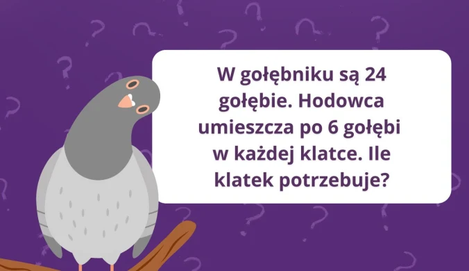 Weekendowy zestaw łamigłówek. Jak szybko rozwiążesz zagadki?