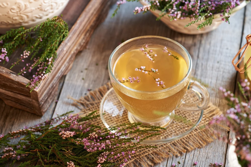 Jak przygotować herbatkę wrzosową? 