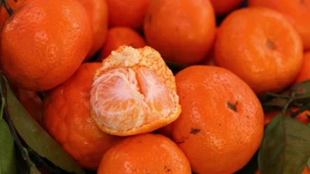 Mało kto wie, jak bardzo zdrowy jest ten owoc